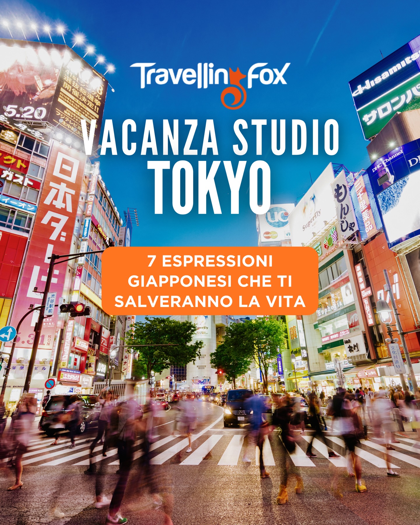 Esperienza all'estero